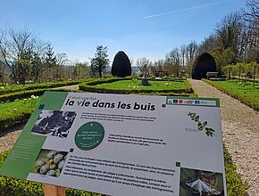 Panneau explicatif de la vie dans le buis - Agrandir l'image (fenêtre modale)