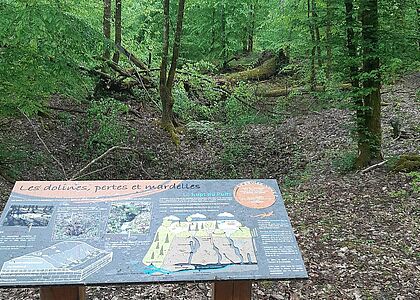 Table d'information dans la forêt de Jeand'Heurs