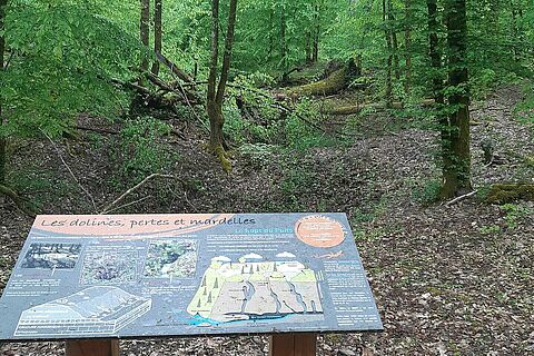 Table d'information dans la forêt de Jeand'Heurs