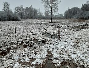 Marais de Chaumont - Hiver - Agrandir l'image (fenêtre modale)