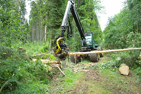 Engin forestier dans la forêt