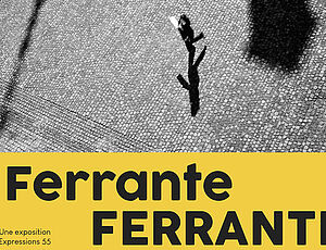 Agrandir l'image (fenêtre modale)