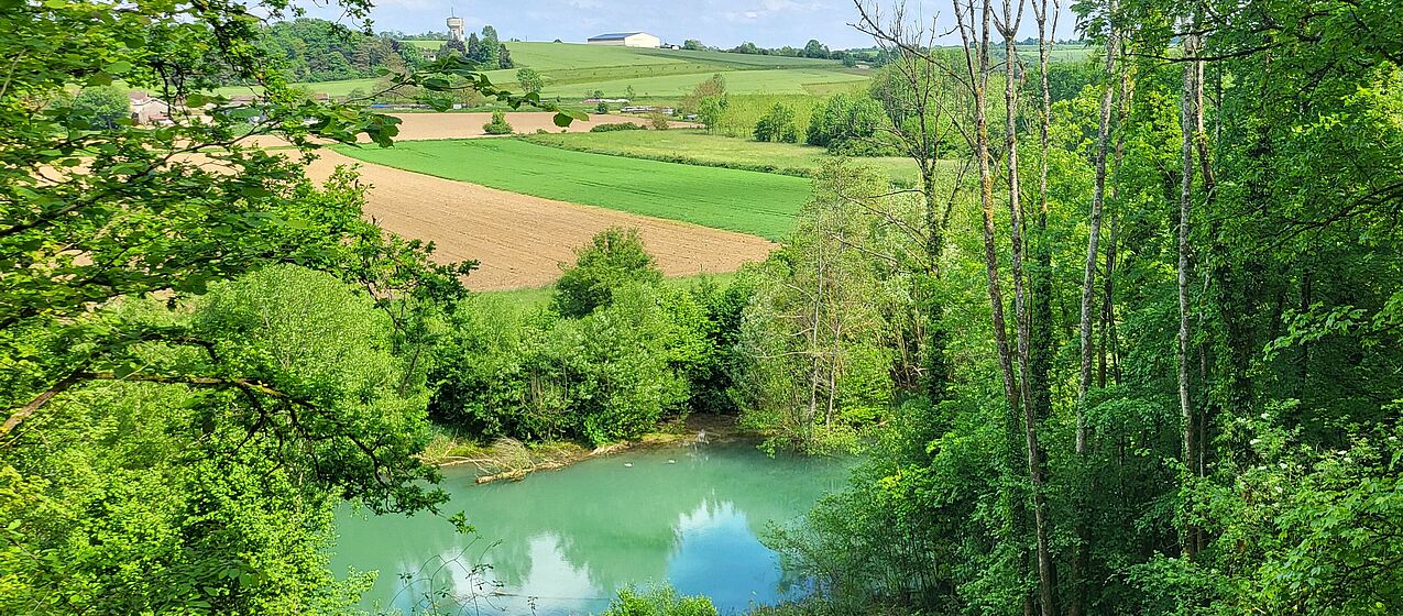 Vue d'un étang entre forêt et prairie