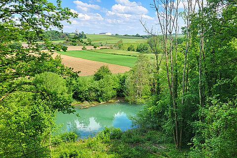 Vue d'un étang entre forêt et prairie