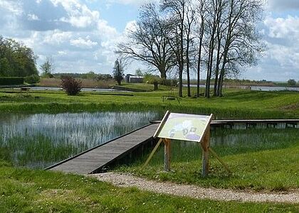Vue du sentier pédagogique de l'étang de Perroi