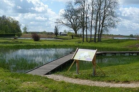 Vue du sentier pédagogique de l'étang de Perroi