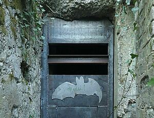 Une porte de l'ouvrage La Lauffée - Agrandir l'image (fenêtre modale)