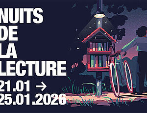 Agrandir l'image (fenêtre modale)