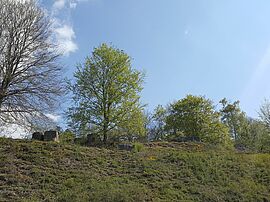 Pelouse calcaire Les Roches - Eté