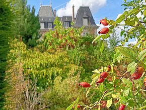 Vue du château depuis le jardin, baies rouges en premier plan - Agrandir l'image (fenêtre modale)
